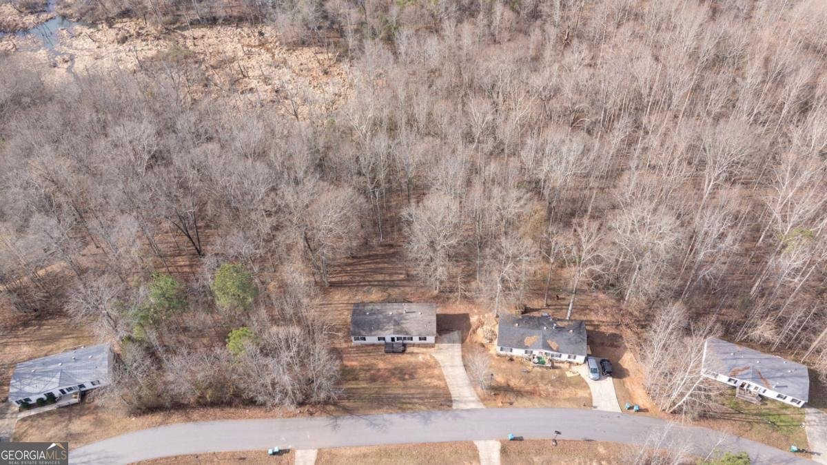 778 Ivy Creek Drive Nicholson - Photo 28