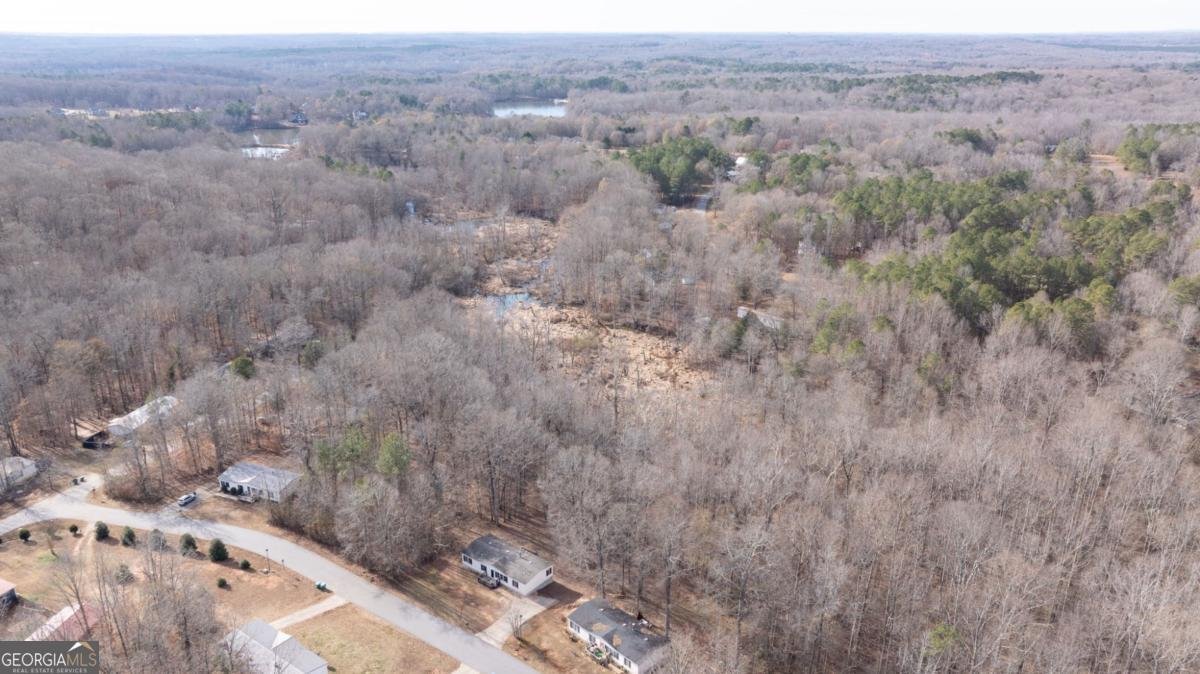 778 Ivy Creek Drive Nicholson - Photo 32