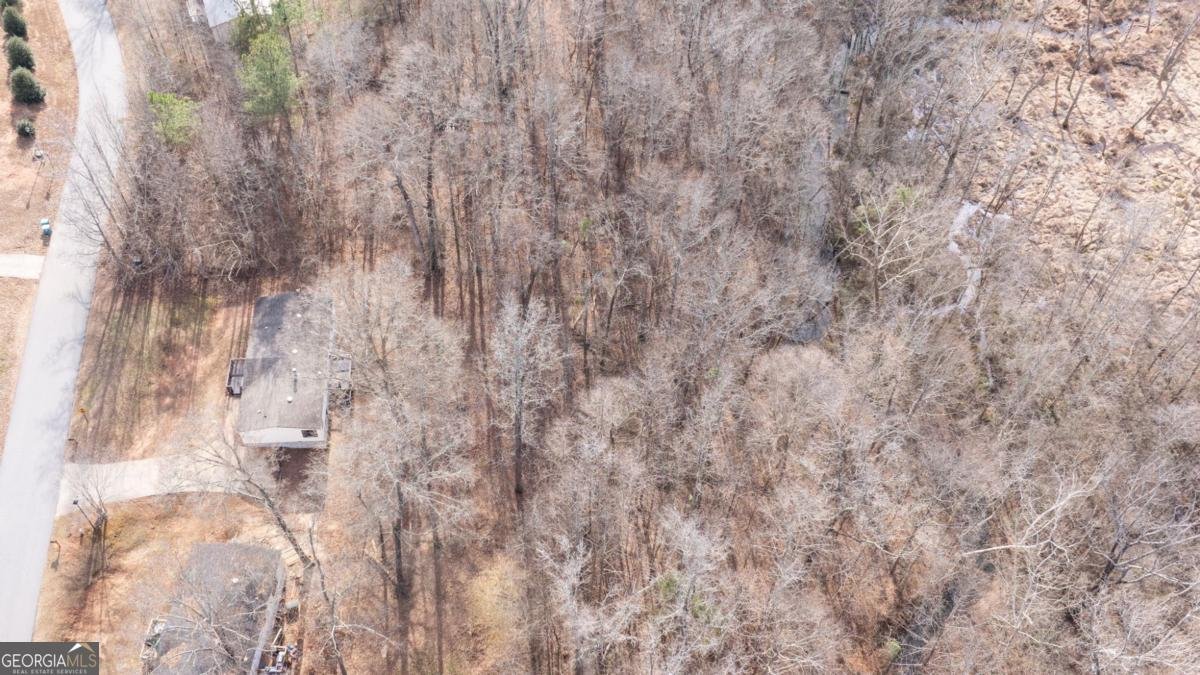 778 Ivy Creek Drive Nicholson - Photo 33