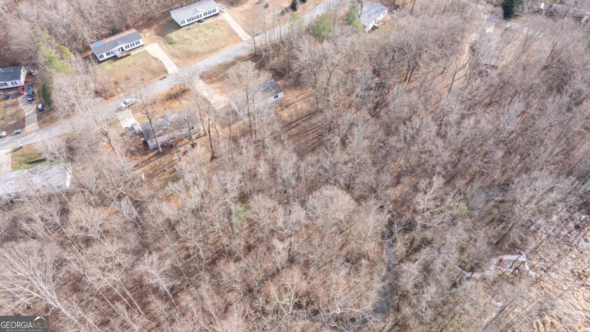 778 Ivy Creek Drive Nicholson - Photo 34