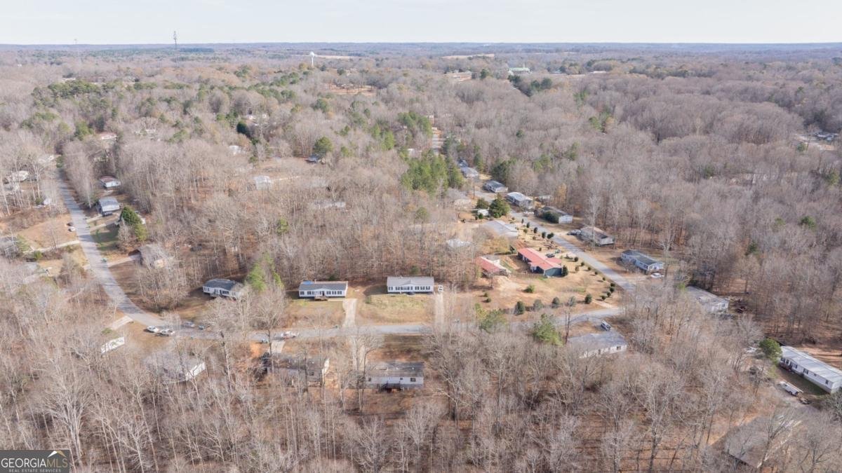 778 Ivy Creek Drive Nicholson - Photo 36