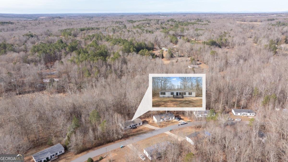 778 Ivy Creek Drive Nicholson - Photo 37