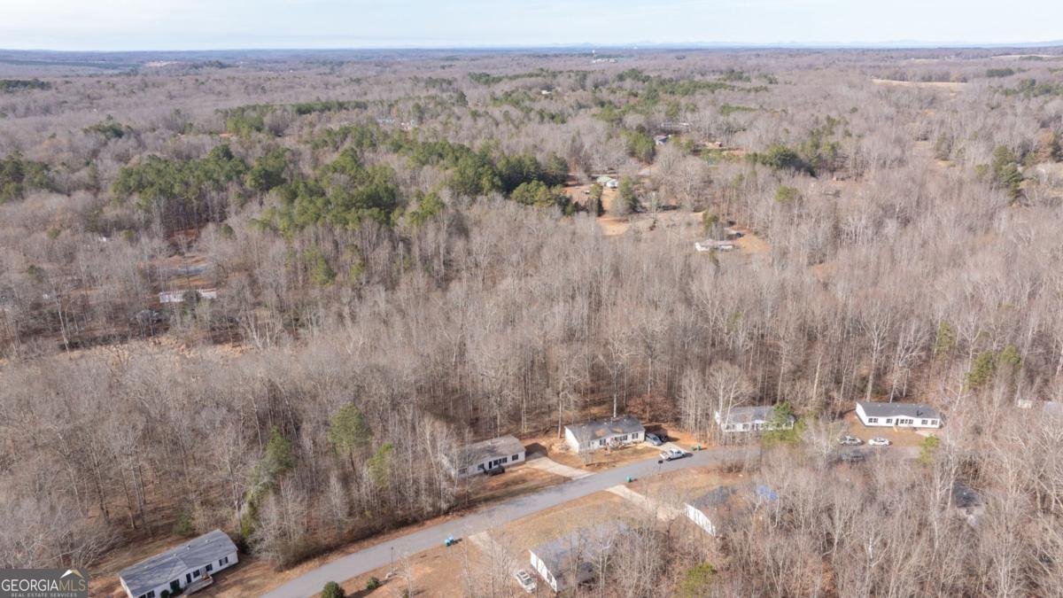 778 Ivy Creek Drive Nicholson - Photo 38