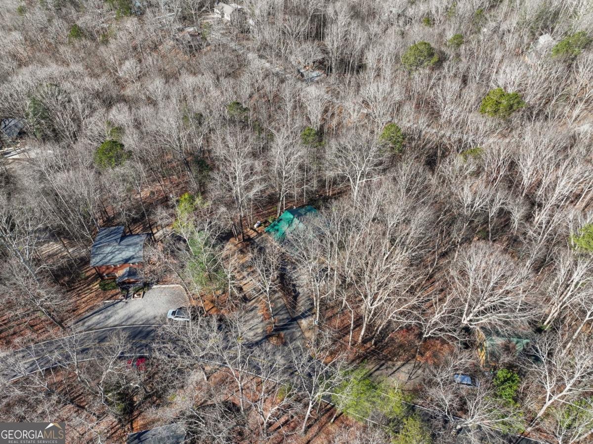 421 Cherokee Court Ellijay - Photo 38