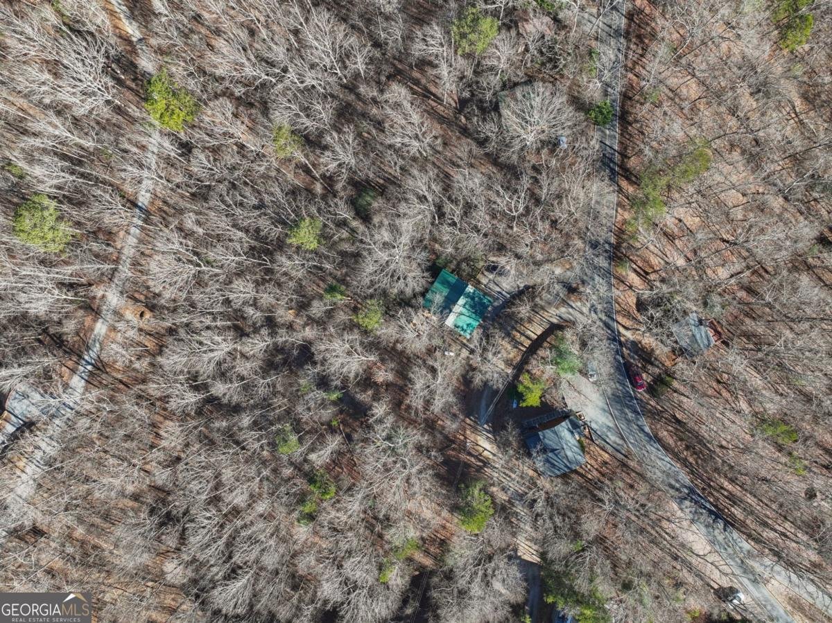 421 Cherokee Court Ellijay - Photo 41