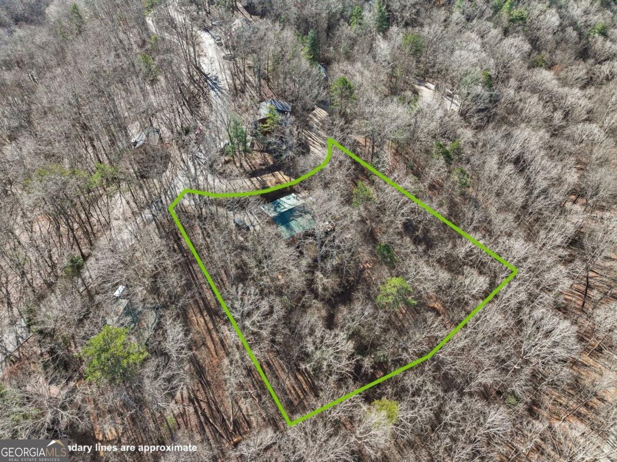 421 Cherokee Court Ellijay - Photo 6