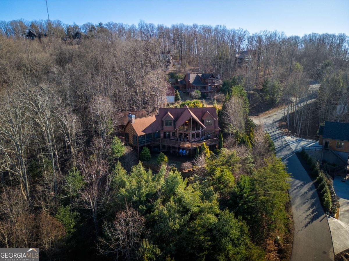 1359 Mountain High Drive Mineral Bluff - Photo 46