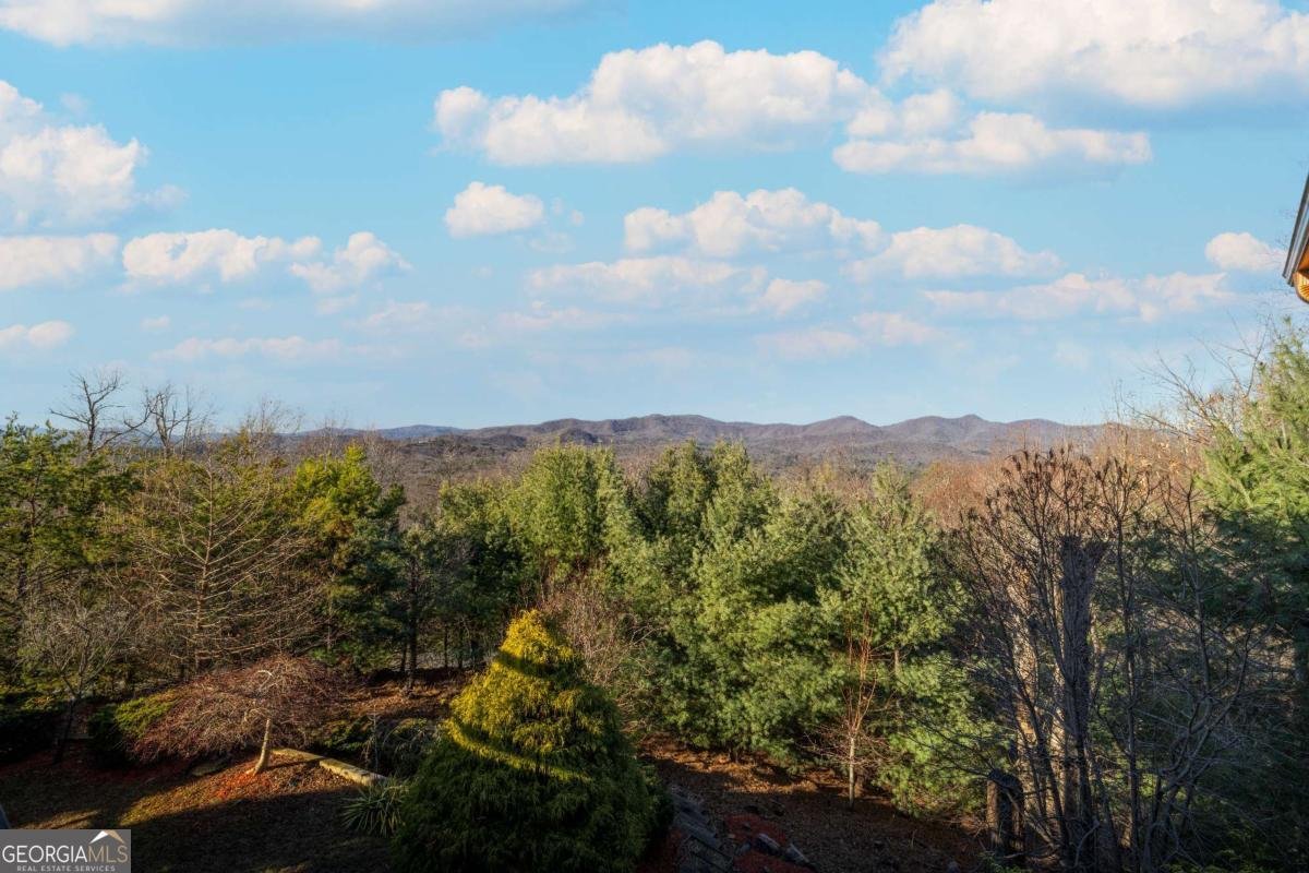 1359 Mountain High Drive Mineral Bluff - Photo 47