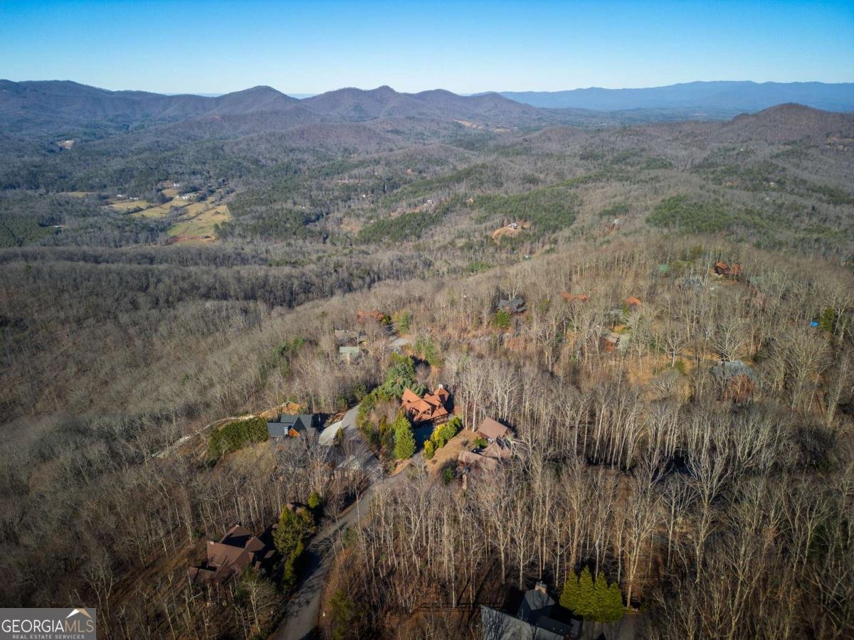 1359 Mountain High Drive Mineral Bluff - Photo 55