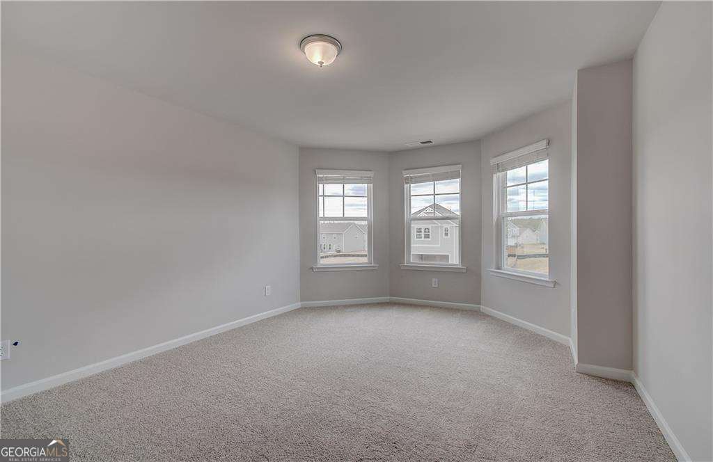 51 Homesite Jericho Way Newnan - Photo 21