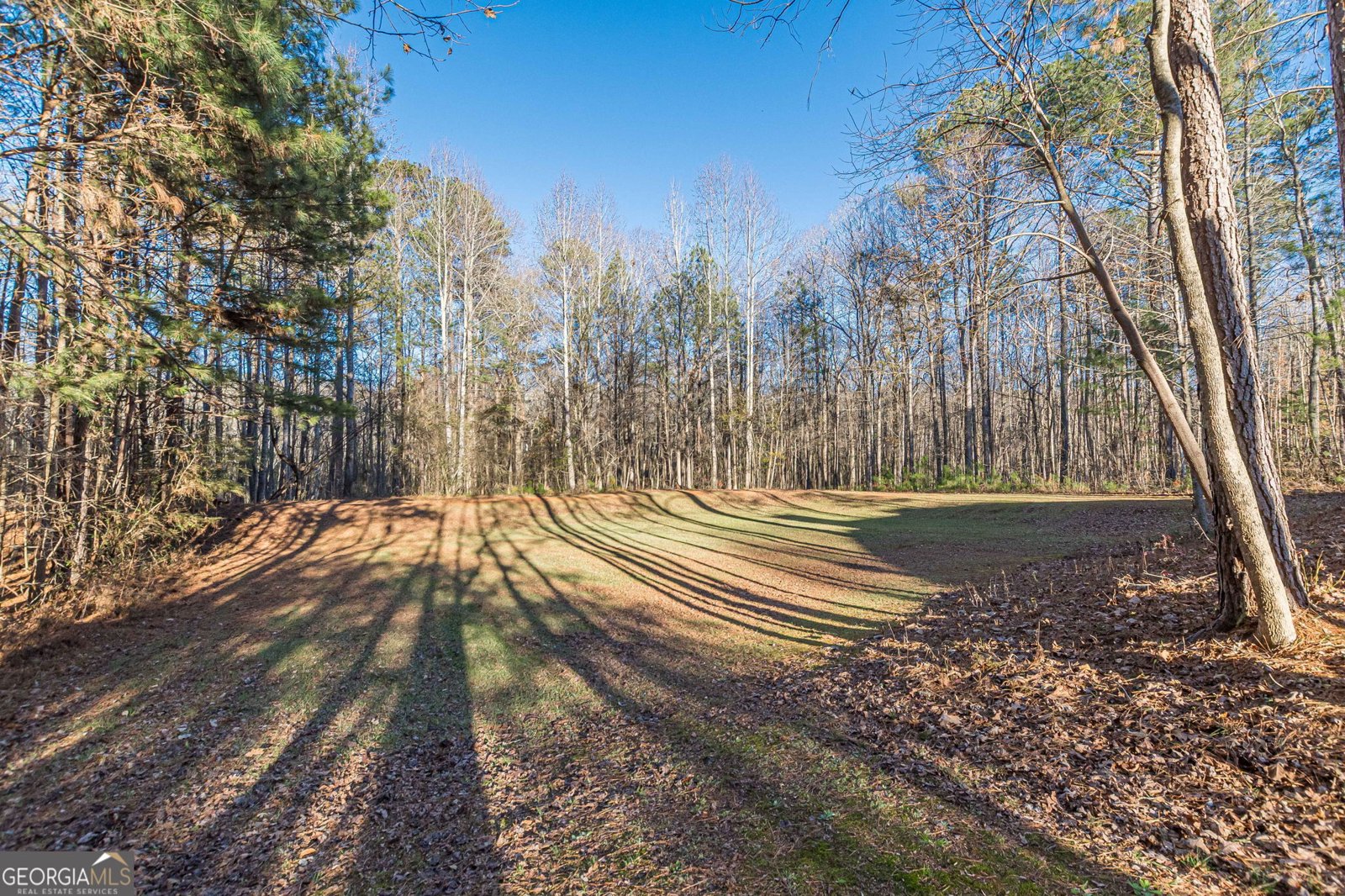 125 Lyndhurst Way Sharpsburg - Photo 11