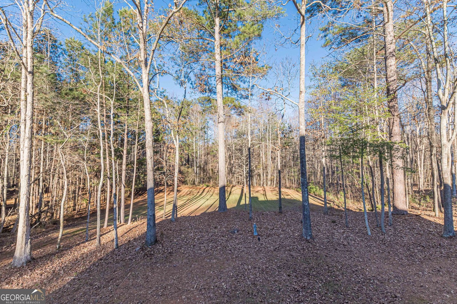 125 Lyndhurst Way Sharpsburg - Photo 15