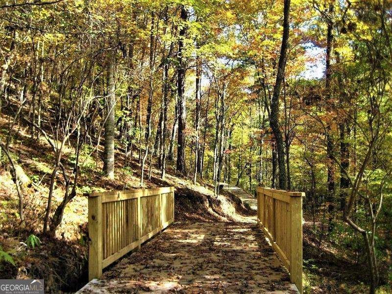 112 Waterview Court Waleska - Photo 29