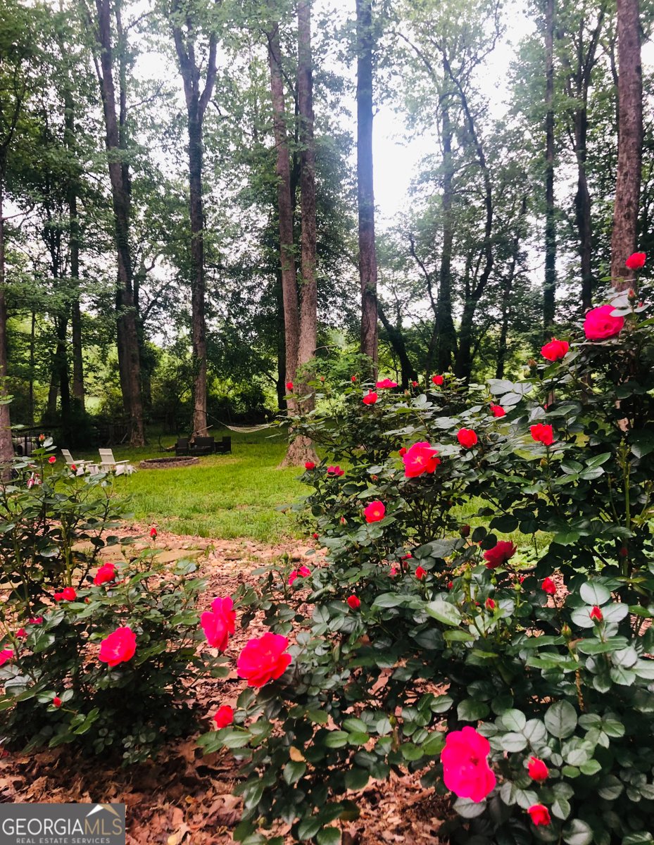 5370 Memphis Street Cumming - Photo 7