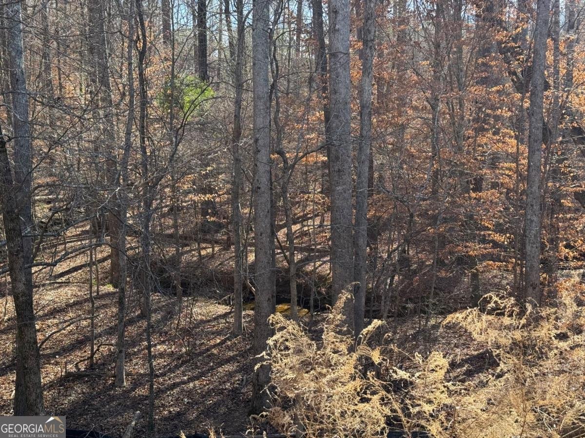 212 Huntington Shoals Drive Athens - Photo 44