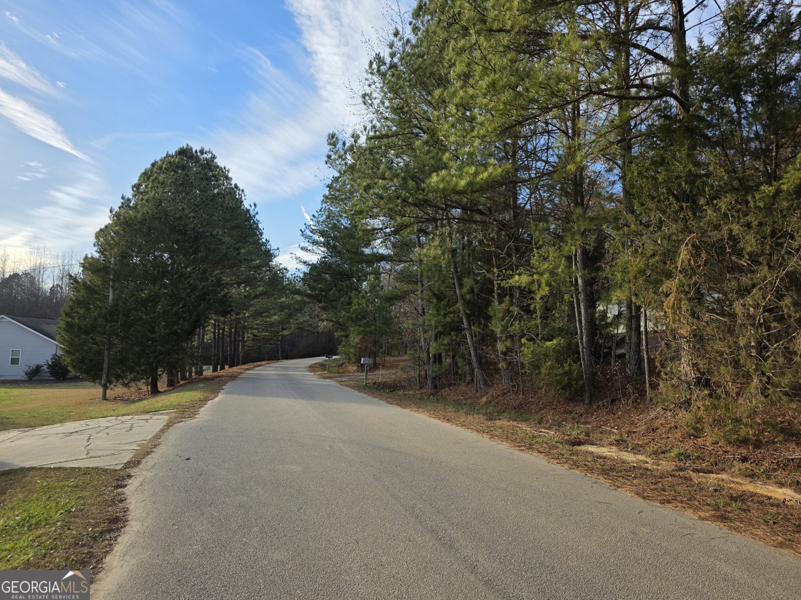 340 Wray Road Buchanan - Photo 27