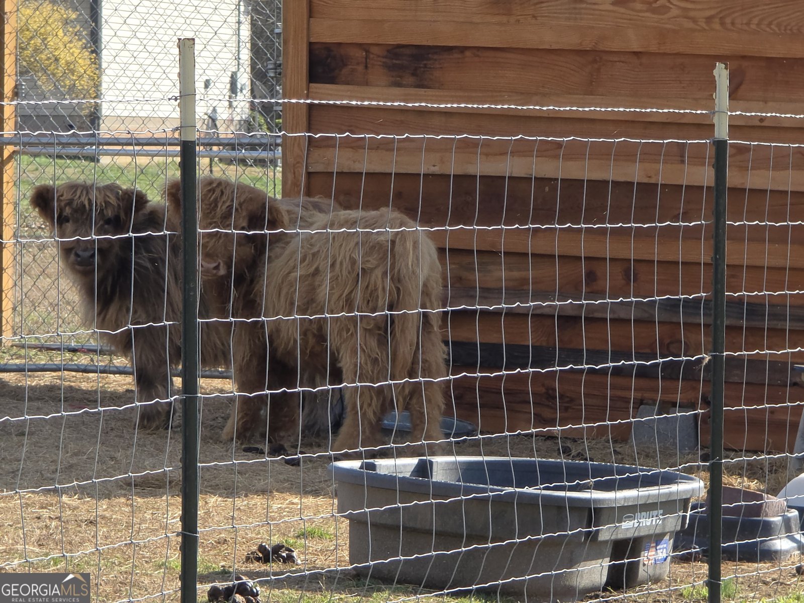 340 Wray Road Buchanan - Photo 38