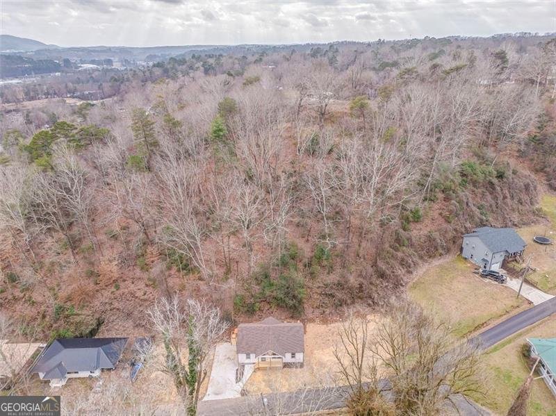 79 Logan Ellijay - Photo 48