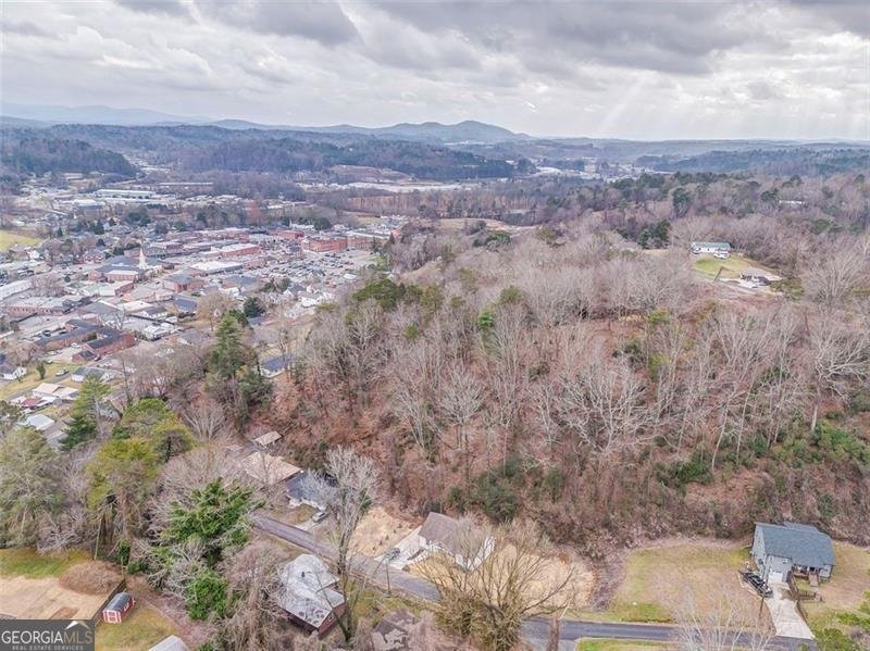 79 Logan Ellijay - Photo 51