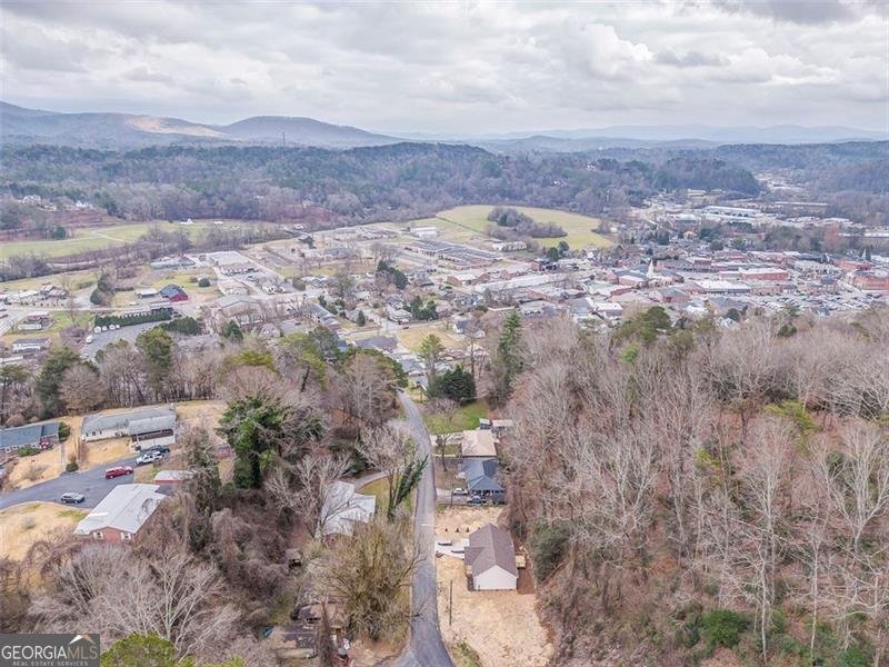 79 Logan Ellijay - Photo 55