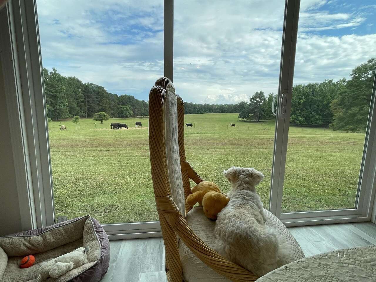 1911 Ellis Road Hogansville - Photo 13