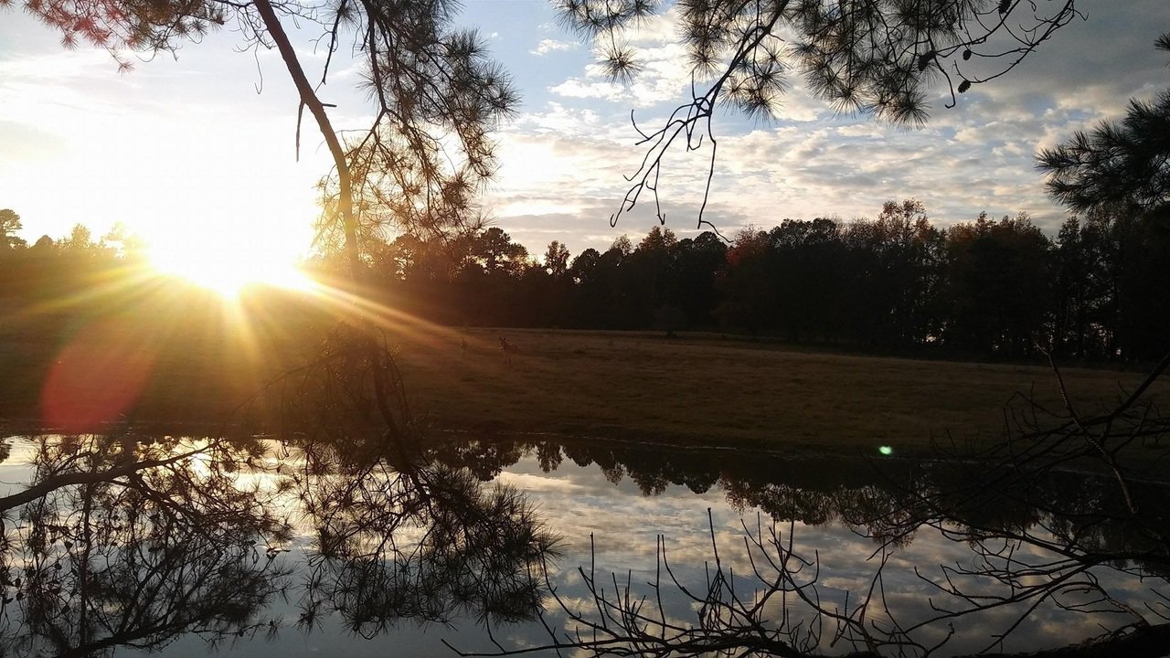 1911 Ellis Road Hogansville - Photo 25