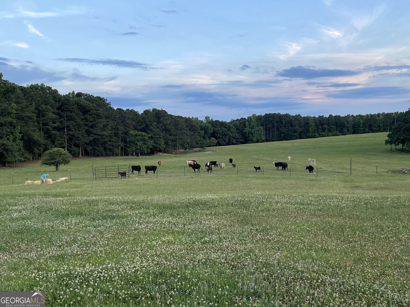 1911 Ellis Road Hogansville - Photo 28