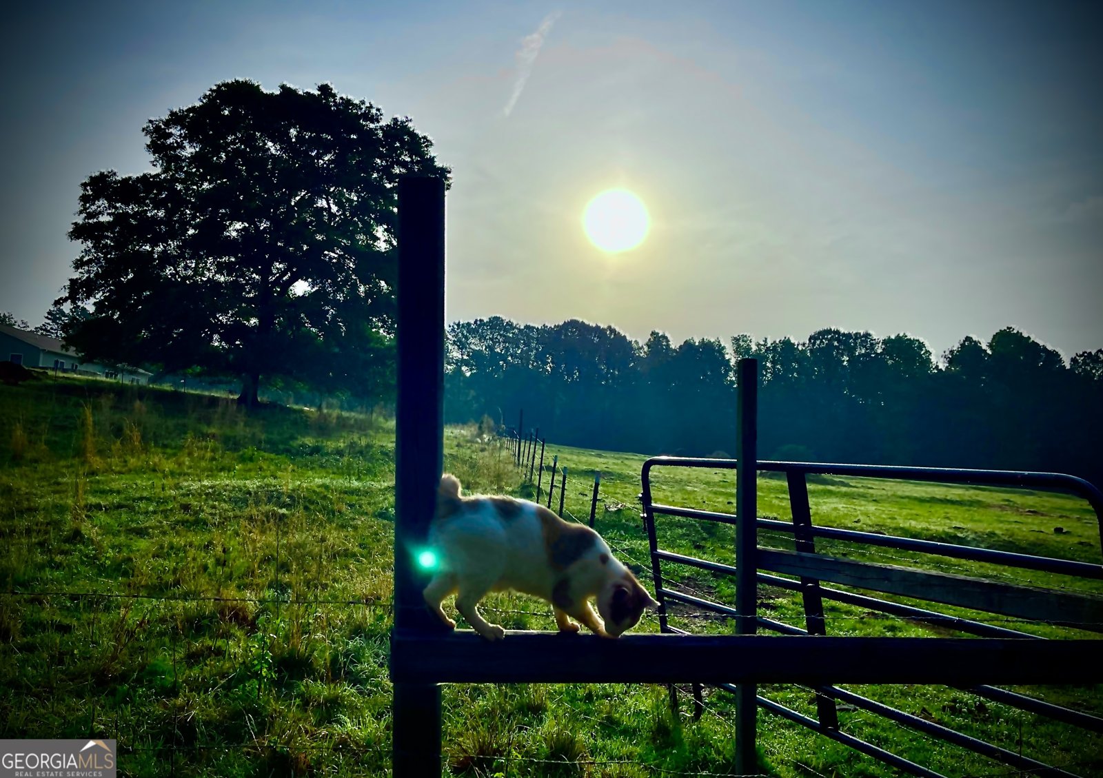 1911 Ellis Road Hogansville - Photo 38
