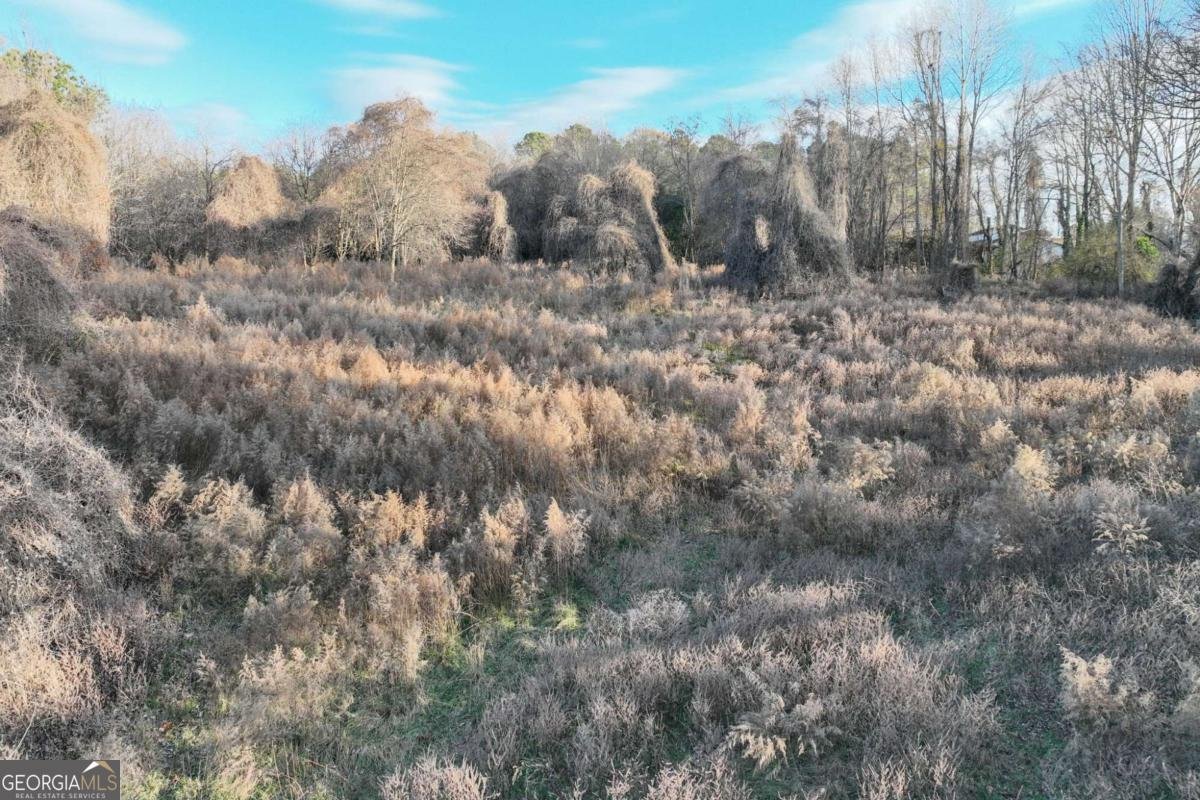 3636 Lantern Drive Gainesville - Photo 71