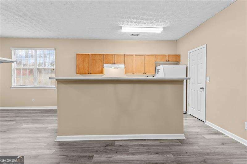 4922 Vireo Drive Flowery Branch - Photo 9