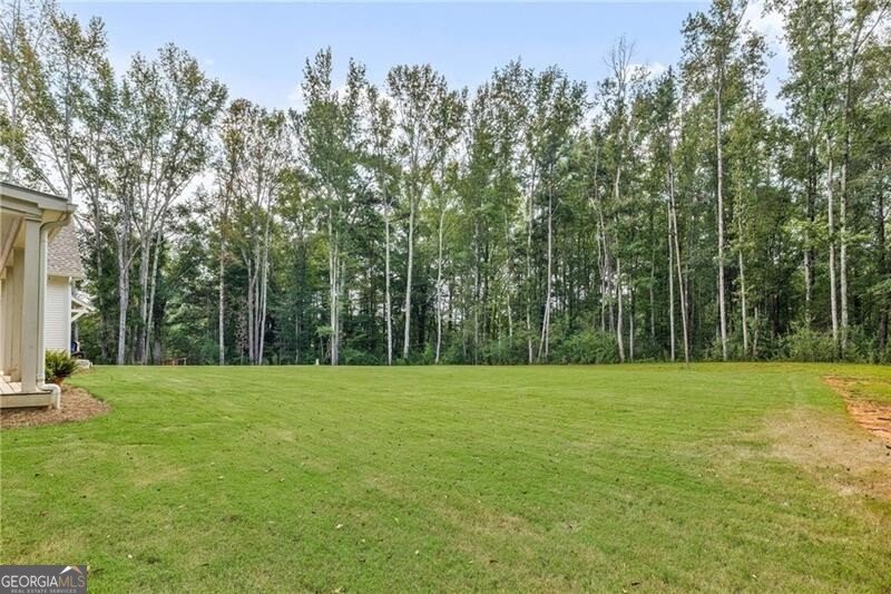 9311 Water Works Road Chattahoochee Hills - Photo 55