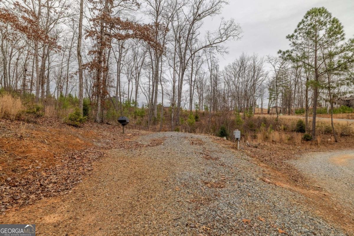 78 Lake Top Lane Ellijay - Photo 19