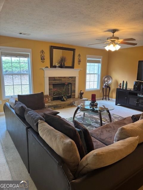 726 Bridle Creek Way Auburn - Photo 17