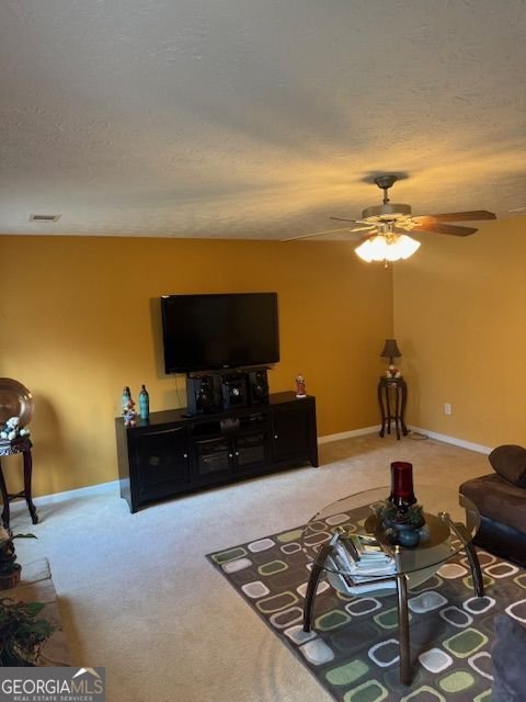 726 Bridle Creek Way Auburn - Photo 18