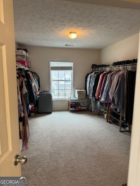 726 Bridle Creek Way Auburn - Photo 26