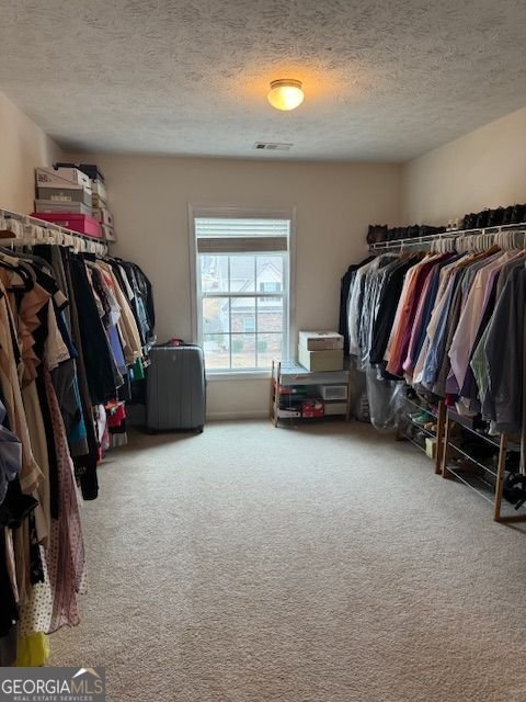 726 Bridle Creek Way Auburn - Photo 27