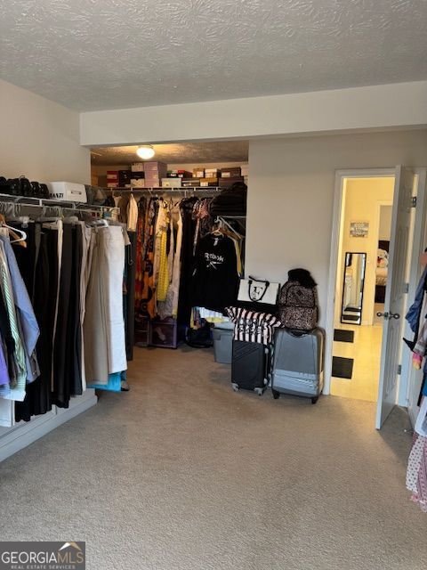 726 Bridle Creek Way Auburn - Photo 28