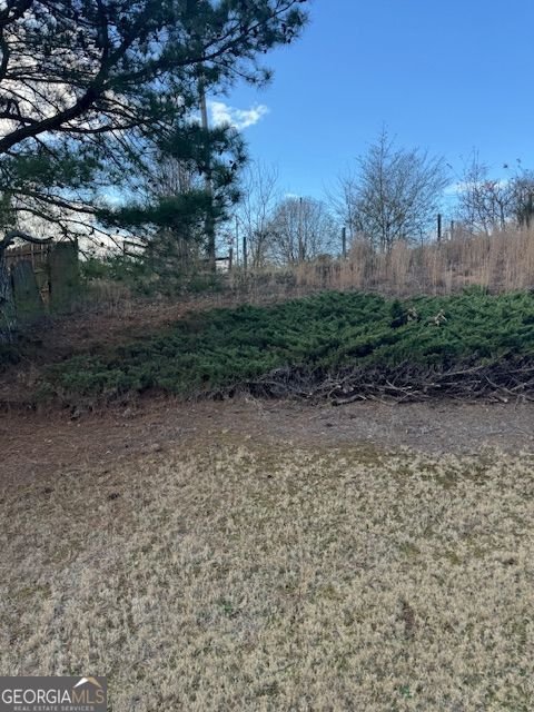 726 Bridle Creek Way Auburn - Photo 40