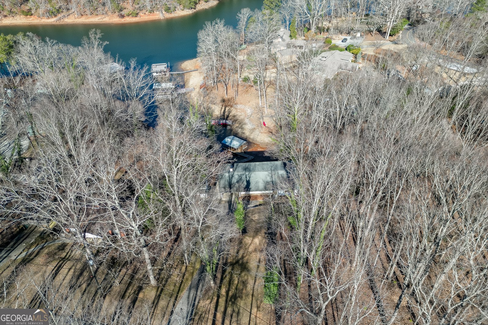 6095 Blackberry Lane Buford - Photo 59