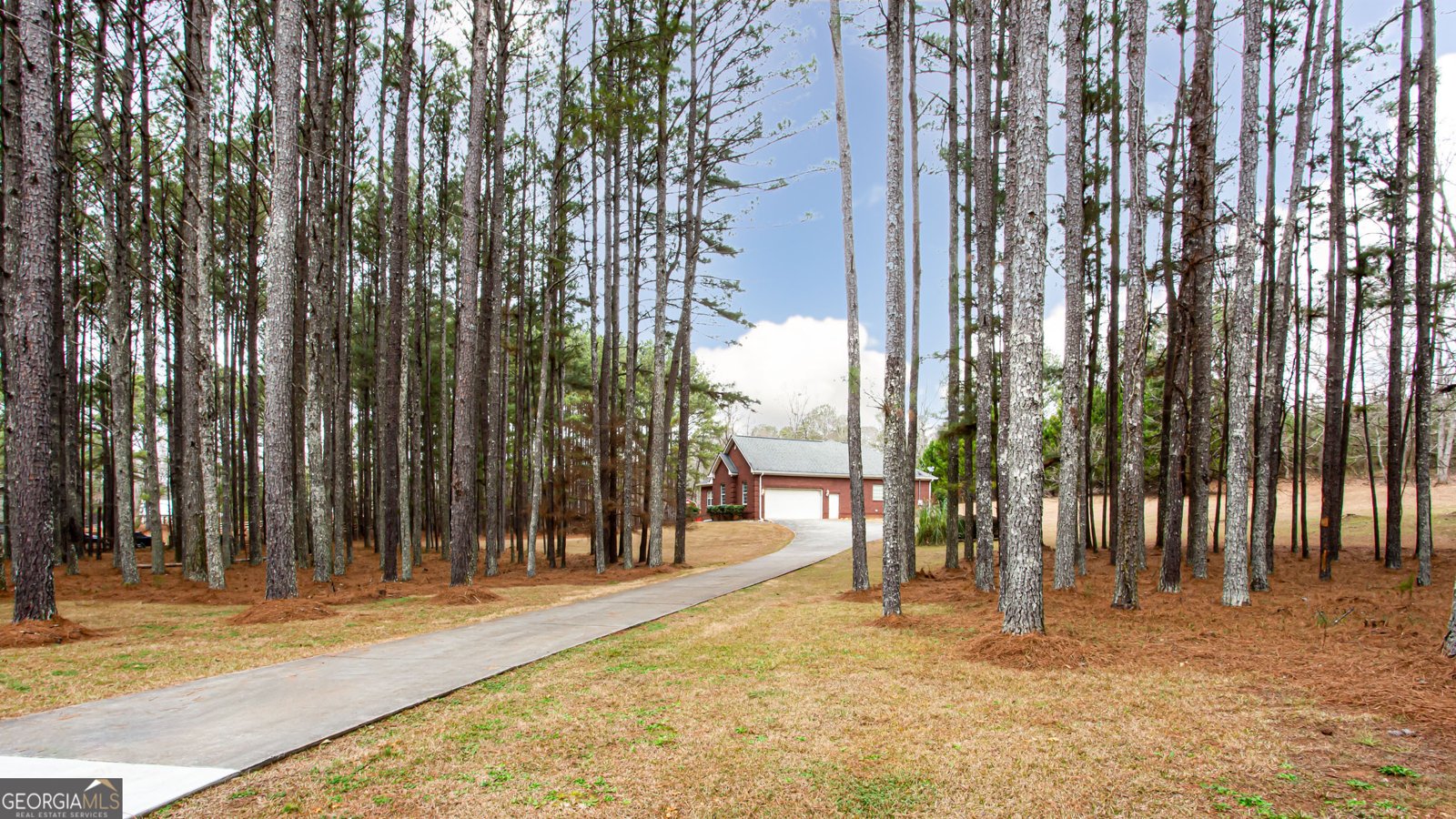 3060 Clegg Farm Road Social Circle - Photo 7