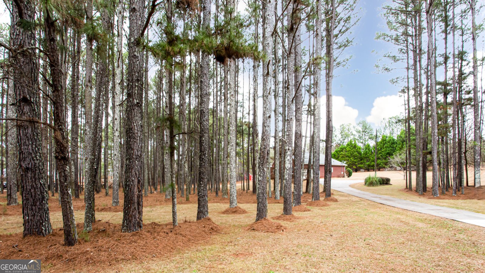 3060 Clegg Farm Road Social Circle - Photo 8