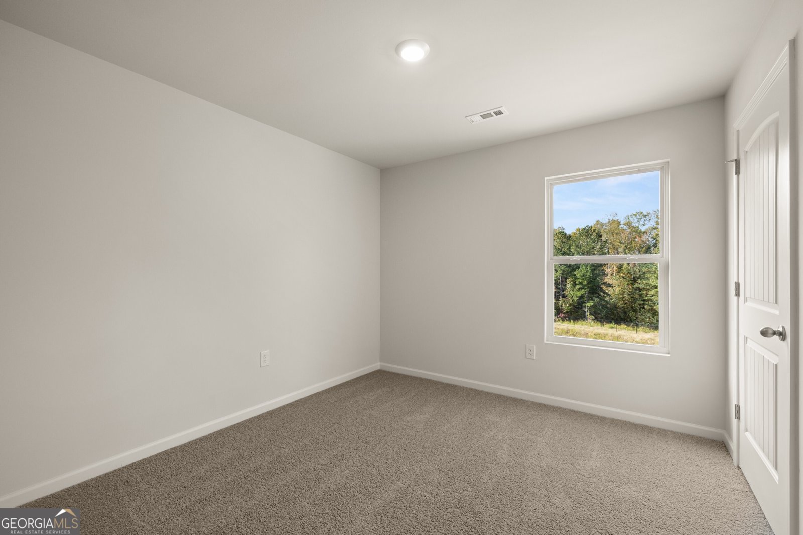 112 Hughes Place Drive Dawsonville - Photo 19