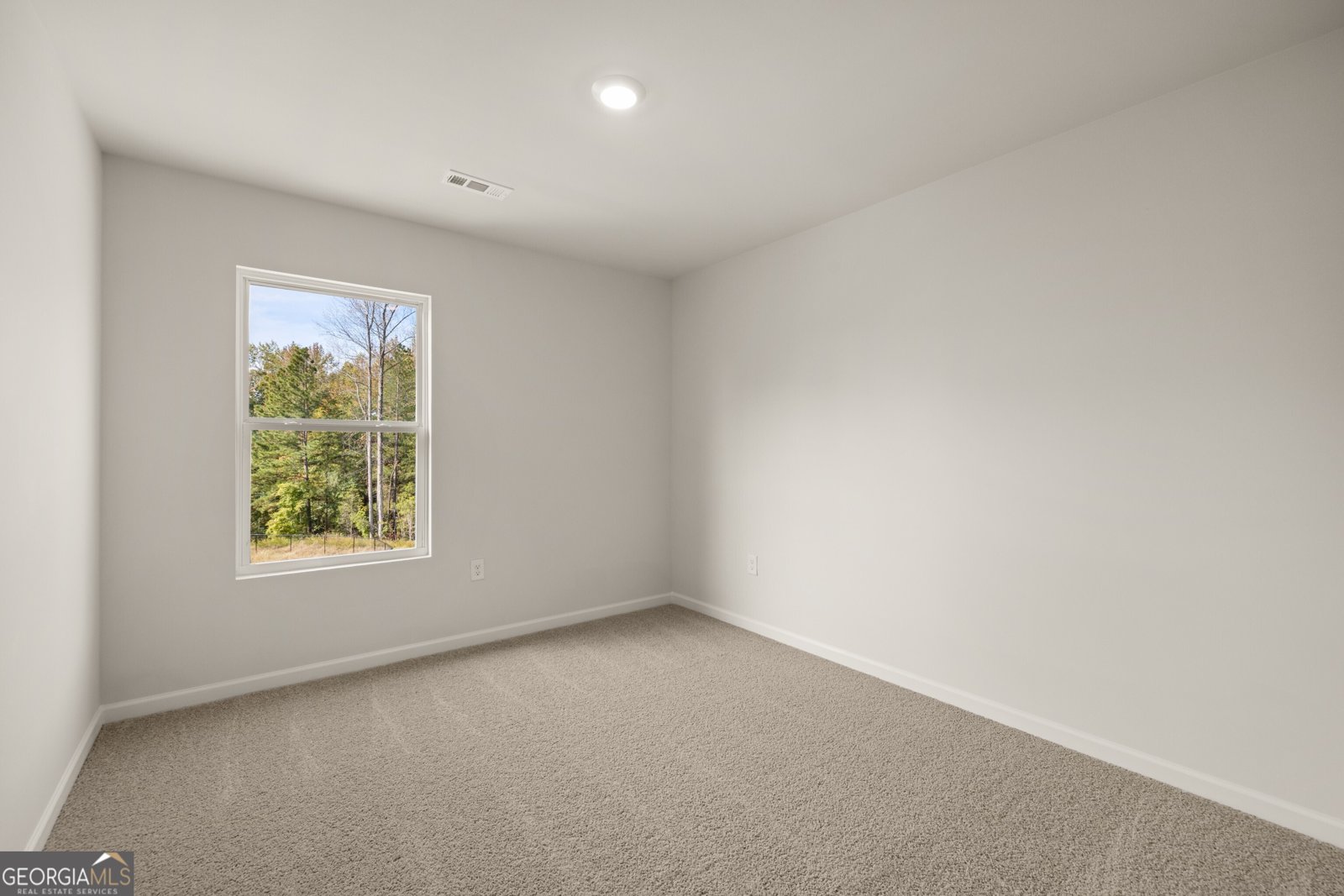 112 Hughes Place Drive Dawsonville - Photo 20