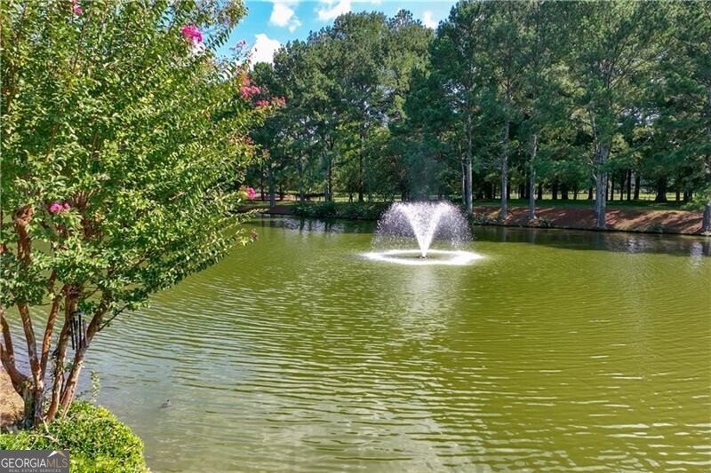 9025 Etching Overlook Johns Creek - Photo 86