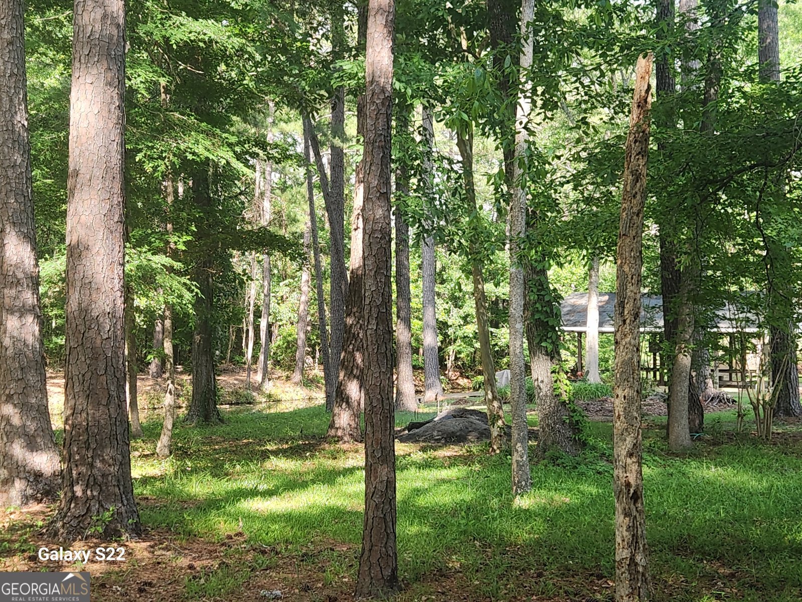 117 Valhalla Lane Cordele - Photo 8