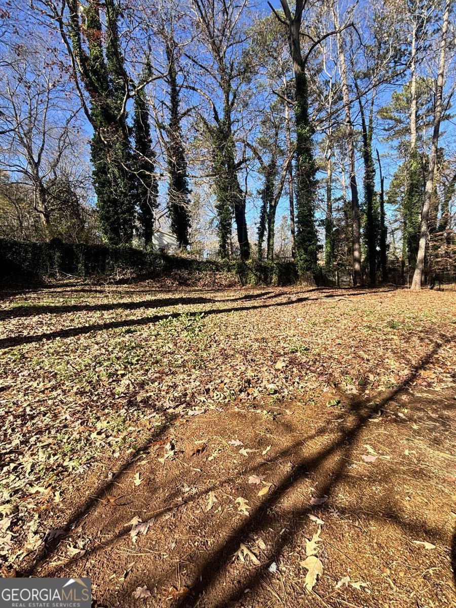 423 Orchards Walk Stone Mountain - Photo 35