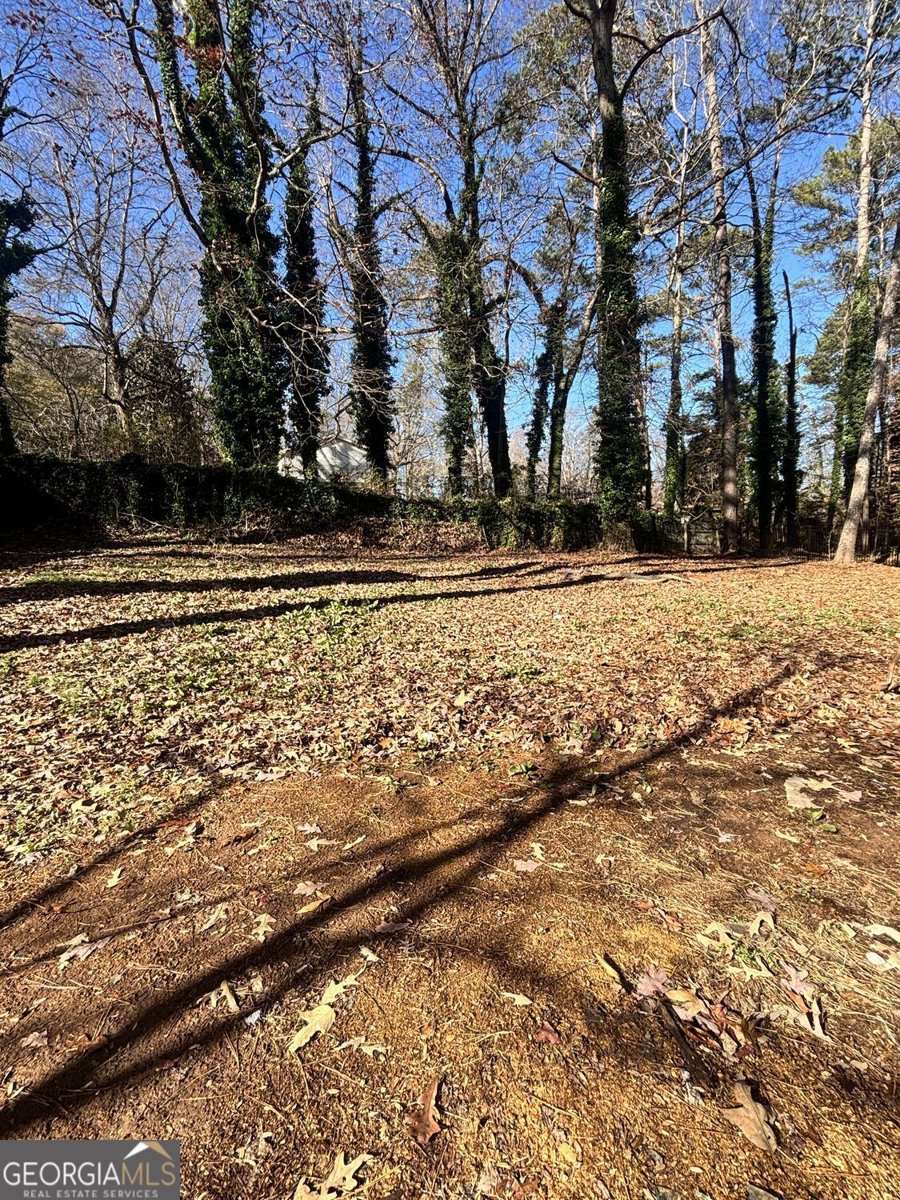 423 Orchards Walk Stone Mountain - Photo 36