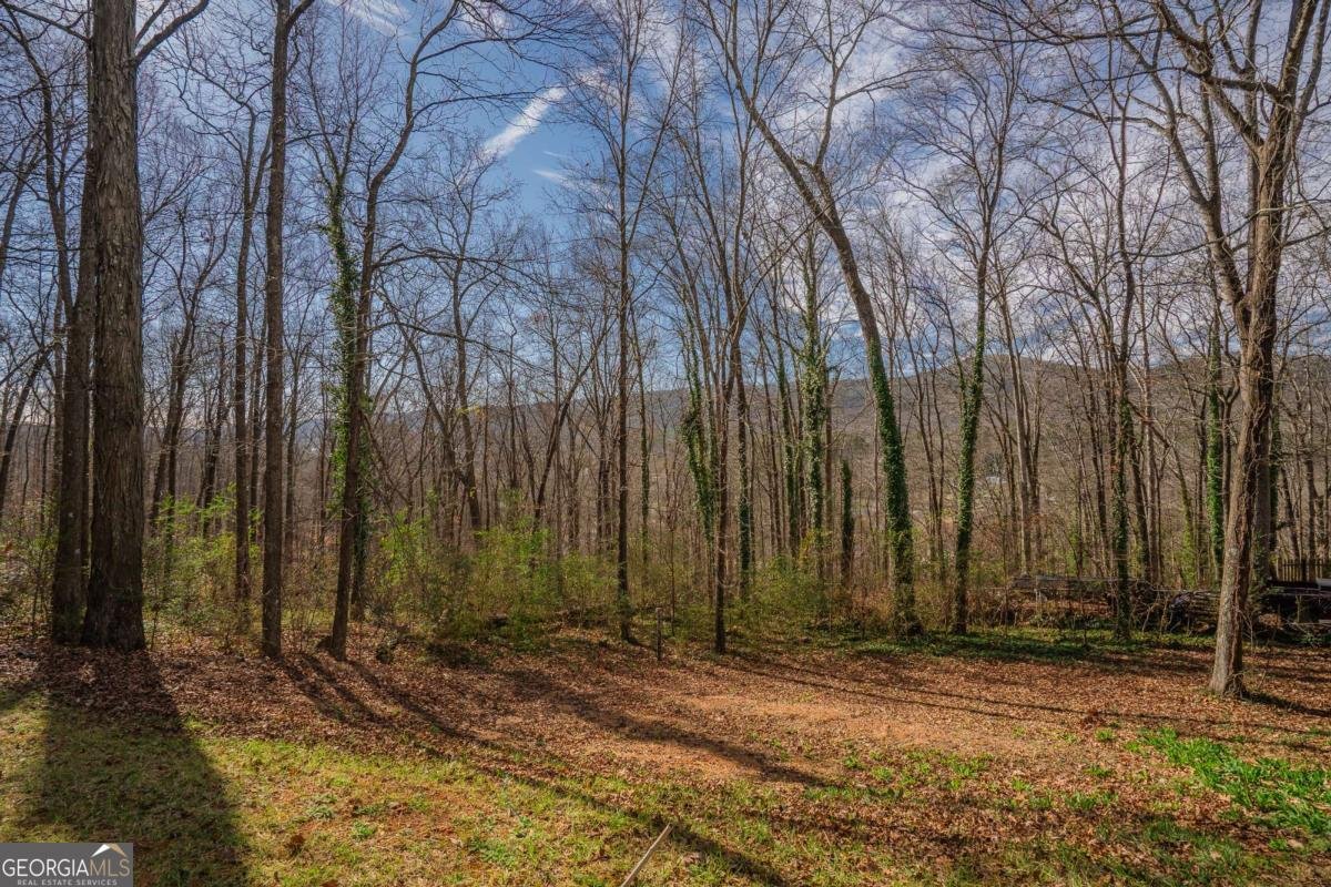 2001 Brook Way Dalton - Photo 73