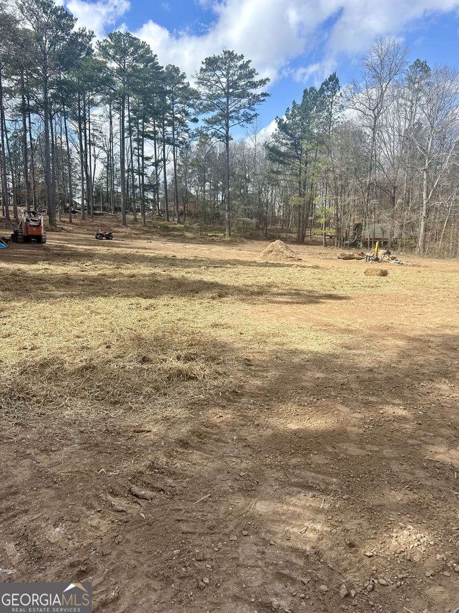 353 Crowell Road Covington - Photo 71