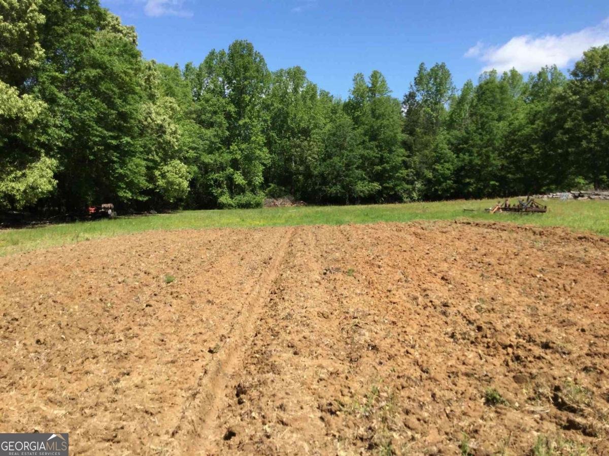 1623 Highway 54 Fayetteville - Photo 9